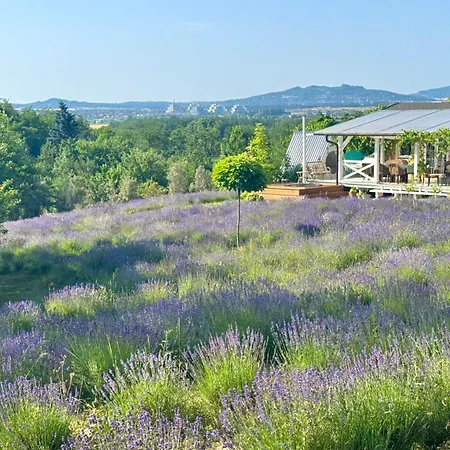Tatil Evi Bohemian Eco Kisapati