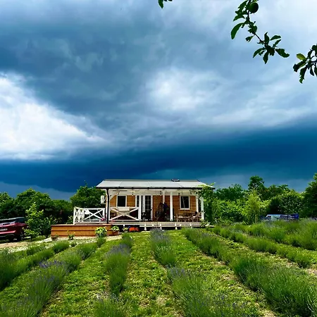 Tatil Evi Bohemian Eco *
