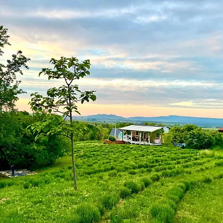 Tatil Evi Bohemian Eco *