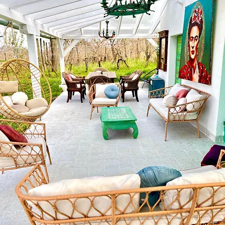 Bohemian Eco * Kisapati