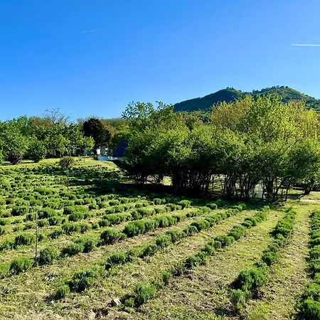 Bohemian Eco Tatil Evi Kisapati